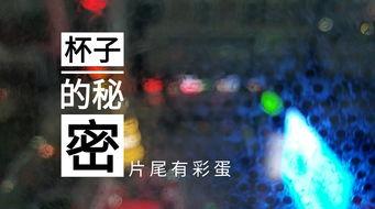 潍坊饭店爆料视频最新,揭秘背后惊人真相 第1张 潍坊饭店爆料视频最新,揭秘背后惊人真相 第1张