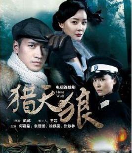 电视剧猎狼在线观看,揭秘卧底猎狼者的生死较量 第1张 电视剧猎狼在线观看,揭秘卧底猎狼者的生死较量 第1张